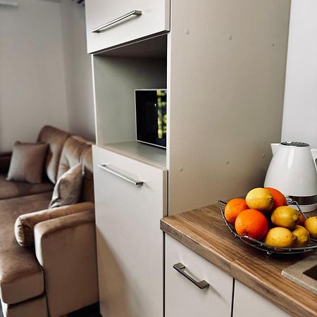 Apartamenty Modrzewiowa Zator Piotrowice  エクステリア 写真